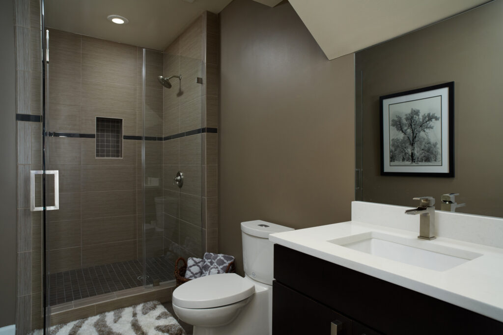 Redesign of Master Bathroom in South Riding Virginia